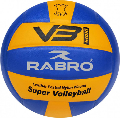 Pasted Volleyball