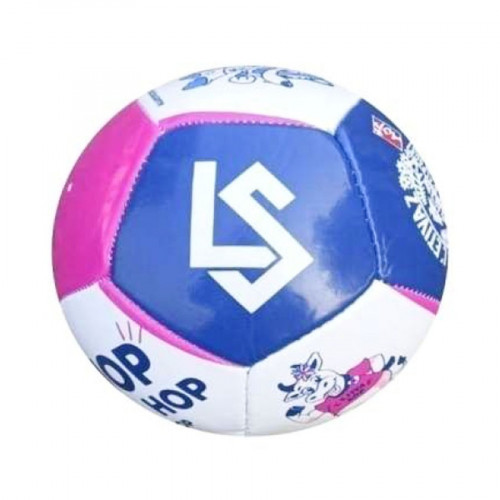 PROMOTIONAL SOCCER BALLS