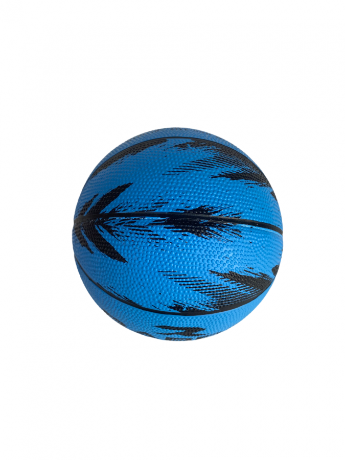 BR3 Basketball